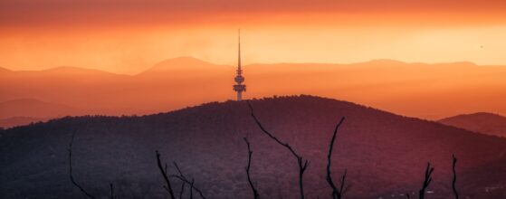 Why Canberra’s Commercial Property Market Stands Strong in 2025 Why Canberra’s Commercial Property Market Stands Strong in 2025