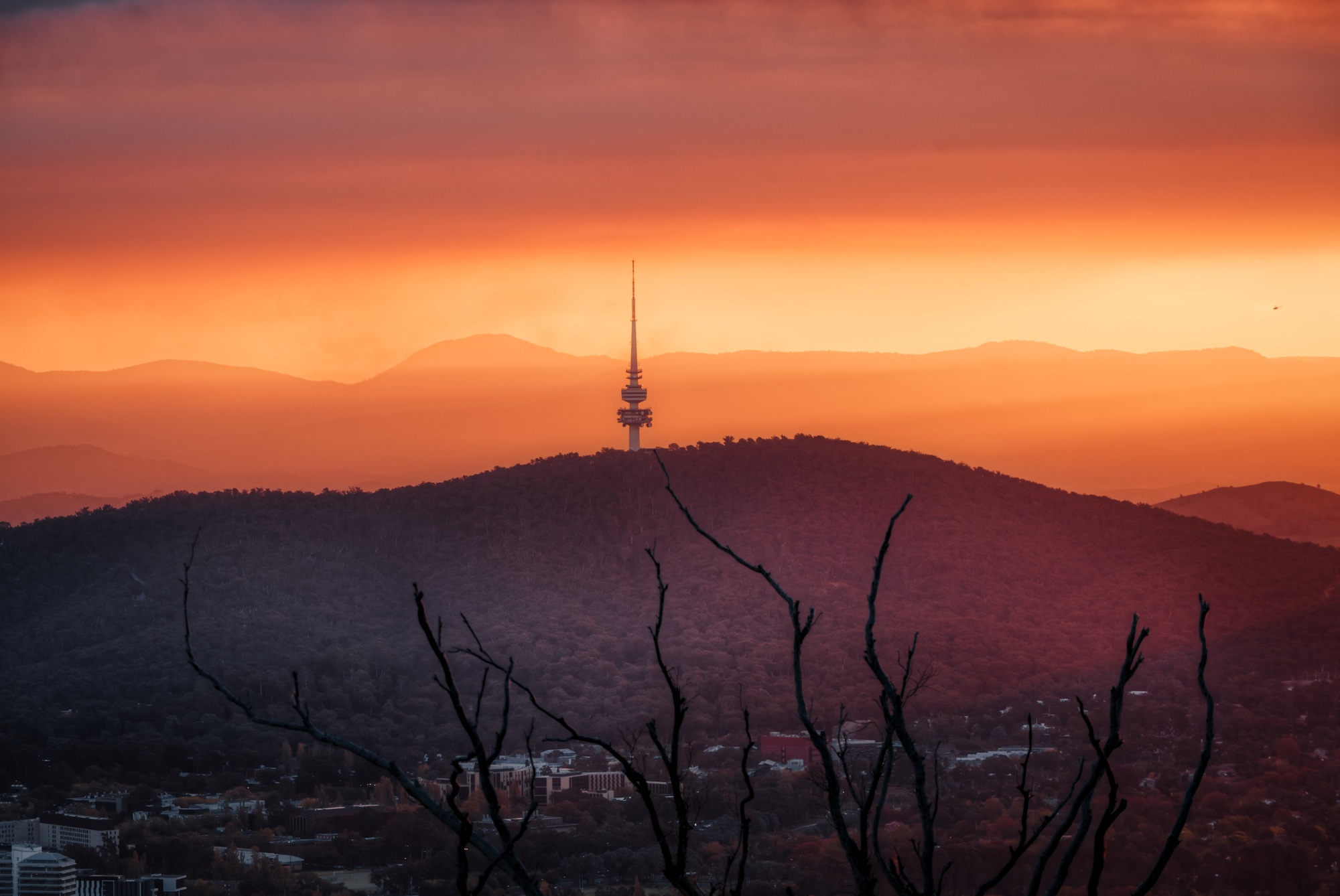 Why Canberra’s Commercial Property Market Stands Strong in 2025